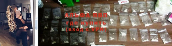 хмурый Бронницы