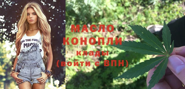 mix Богородицк