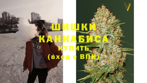 mix Богородицк