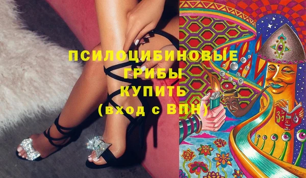 spice Бородино