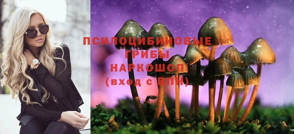 mix Богородицк